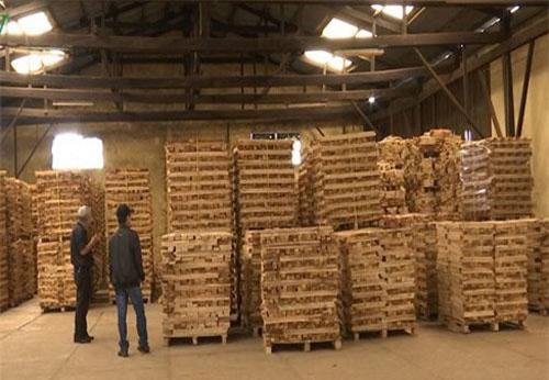 Xuất khẩu gỗ đứng thứ 6 trong những mặt hàng xuất khẩu tỷ USD