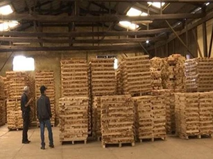 Xuất khẩu gỗ đứng thứ 6 trong những mặt hàng xuất khẩu tỷ USD