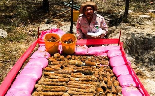 Quảng Trị: Di dời hàng ngàn quả đạn pháo nằm trong 2 hầm đạn gần khu dân cư