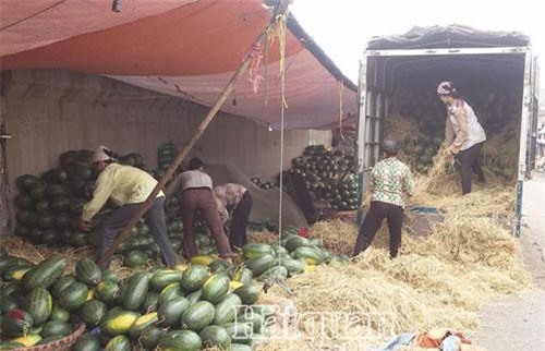 Xuất khẩu nông, lâm, thủy sản khó chạm mốc 43 tỷ USD