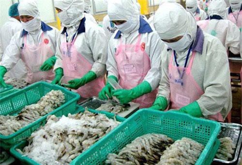 Xuất khẩu tôm sang các thị trường chính đồng loạt giảm