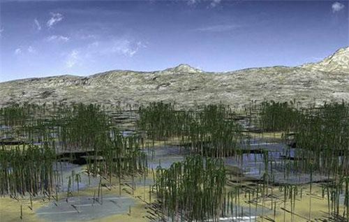 Phát hiện khu rừng hóa thạch 419 triệu năm tuổi ở Trung Quốc