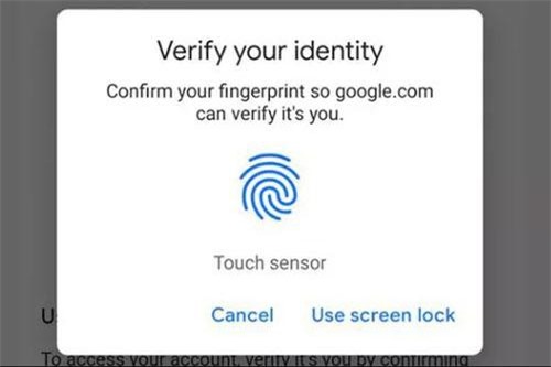 Google giúp người dùng không phải lo lắng về việc nhớ mật khẩu