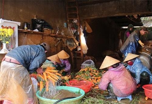 Rau Đà Lạt tăng giá sau mưa lũ