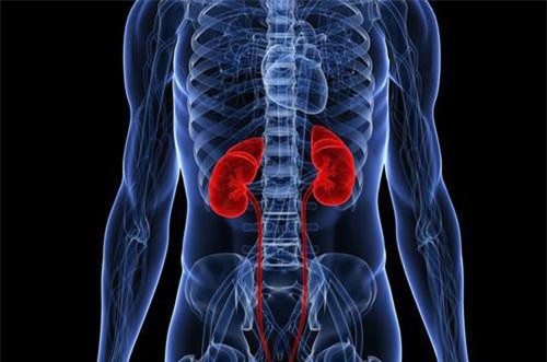 AI có thể phát hiện chính xác chấn thương thận cấp tính trước cả các bác sĩ