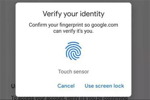 Dấu vân tay sẽ thay thế cho những mật khẩu khó nhớ.