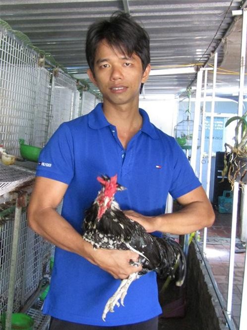 Anh Nguyễn Bửu Thanh và con gà Hoàng Gia.