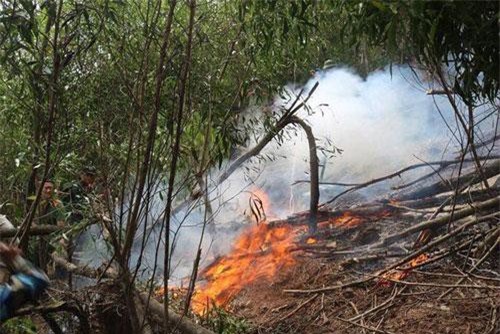 Nghệ An: Hơn 6 giờ chiến đấu với giặc lửa trên núi Hang