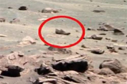 CLIP HOT (15/8): Người ngoài hành tinh làm rơi giày trên sao Hỏa, hồn ma bay lơ lửng trong nghĩa địa