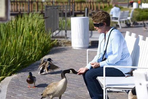 Người mù có thể nhìn thấy với công nghệ cấy chip não mới trong tương lai gần