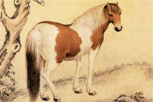 3 con giáp càng già càng lắm tiền nhiều của, cuộc sống chỉ việc ngồi rung đùi mà hưởng