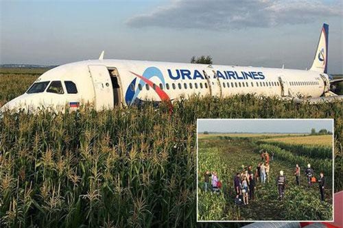 Đâm phải đàn chim, máy bay Nga chở 233 người 'lê bụng' xuống ruộng ngô