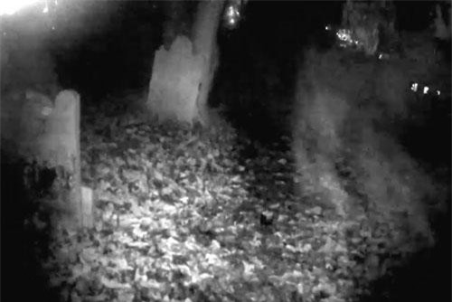 CLIP: Hãi hùng trước cảnh hồn ma bay lơ lửng trong nghĩa địa