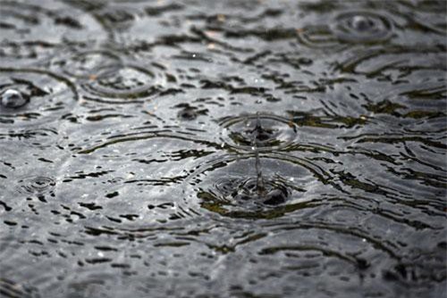 "Sốc" khi 90% nước mưa có chứa nhựa