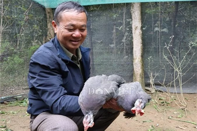 Từ nuôi gà sao, cuộc sống của ông Đón ngày càng khá giả. Ảnh: Dân Việt. Từ nuôi gà sao, cuộc sống của ông Đón ngày càng khá giả. Ảnh: Dân Việt.