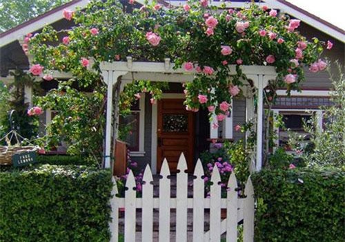 Nhà ở phố cứ lau sạch chỗ này, tiền vào ào ào như nước