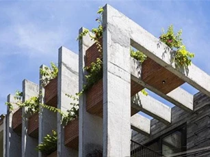 Nhà gạch bê tông nhưng vẫn mát rượi nhờ nhiều cây và bể bơi