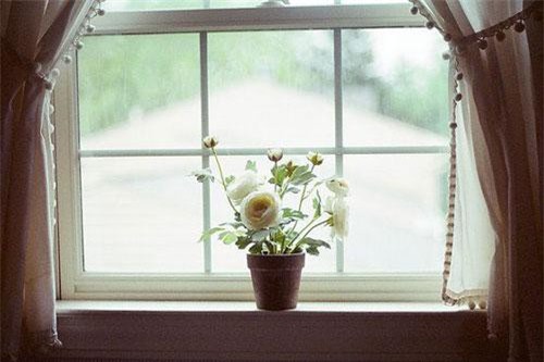 Đặt cửa sổ theo hướng này: Hút nguồn năng lượng tốt, tiền tài kéo vào nhà cuối năm tiêu không hết