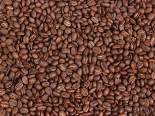 Rất ít người có thể tìm ra đáp án đúng cho câu đố này trong 5 giây