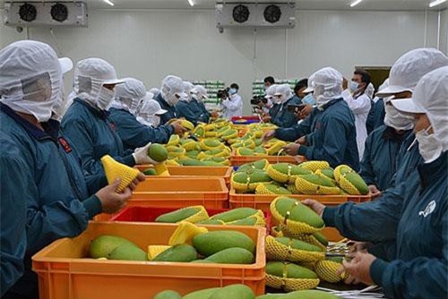 Sắp tổ chức Hội nghị xúc tiến xuất khẩu sang thị trường Trung Quốc