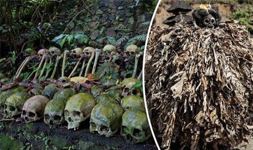 Rùng mình “đảo sọ người” quái gở nhất hành tinh