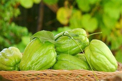 Loại quả vừa bổ, vừa chữa nhiều bệnh thế này mà nhiều người không biết