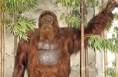 Chi tiết giật mình về quái vật Bigfoot huyền thoại