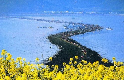 Đến hẹn lại lên: Con đường giữa biển Hàn Quốc 2 năm mới xuất hiện 1 lần, kỳ bí như vậy nhưng người dân vẫn thản nhiên… ăn mừng