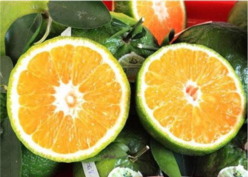 Điểm mặt những loại trái cây không hạt đang gây sốt trên thị trường