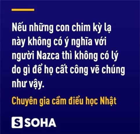 Bí ẩn công trình nghi của người ngoài hành tinh: Sau gần trăm năm, Nhật Bản giải mã thành công? - Ảnh 2.