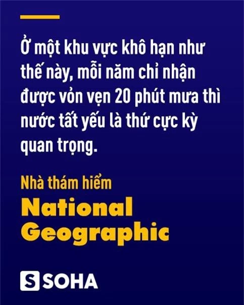 Bí ẩn công trình nghi của người ngoài hành tinh: Sau gần trăm năm, Nhật Bản giải mã thành công? - Ảnh 7.