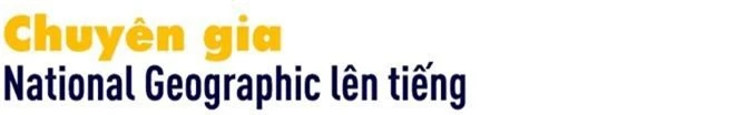 Bí ẩn công trình nghi của người ngoài hành tinh: Sau gần trăm năm, Nhật Bản giải mã thành công? - Ảnh 8.