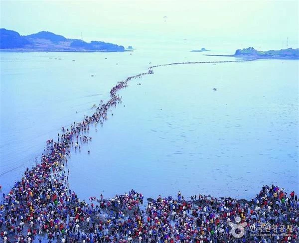 Hiện tượng này thường chỉ diễn ra trong vài ngày mỗi năm, vào khung giờ từ 5h30 đến 7h.