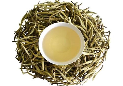 Công dụng bất ngờ của trà trắng đối với sức khỏe có thể bạn chưa biết