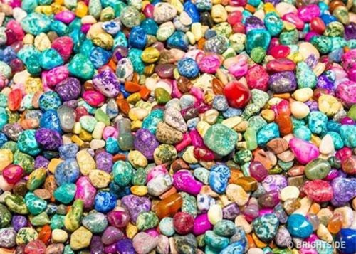 "Hoa mắt" vẫn không thể tìm ra đáp án đúng