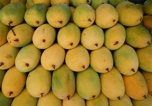 Cùng là xoài nhưng ở ngoài chợ có đến 10 loại để bạn lựa chọn và thưởng thức