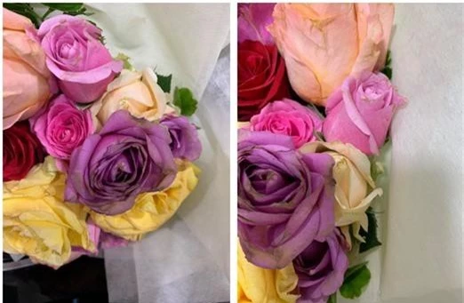 Vụ chồng đặt hoa online tặng sinh nhật vợ từ hoa sang thành hoa tàn, không ngờ là từ shop của Shark Khoa-3