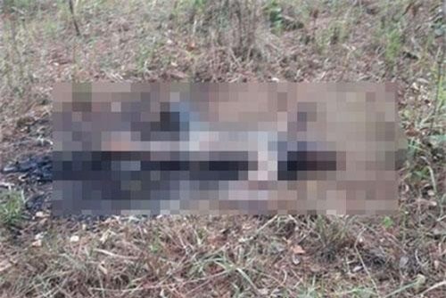 Bình Định: Người đàn ông chết cháy, nghi tự thiêu sau vườn nhà