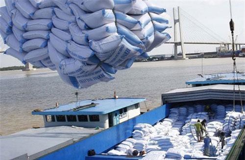 42 doanh nghiệp được cấp phép kinh doanh xuất khẩu gạo theo Nghị định 107