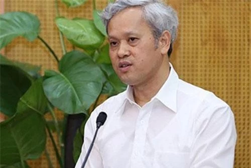 Tổng cục trưởng Tổng cục Thống kê Nguyễn Bích Lâm.