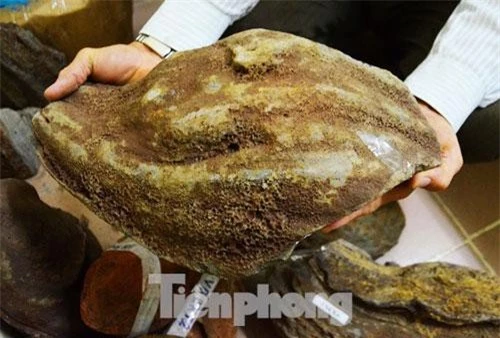 Một "bom núi lửa" có hình dạng như quả bàng khô