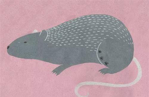 Bói chuẩn con số đại kỵ của 12 con giáp, không tránh xa ắt rước họa vào thân