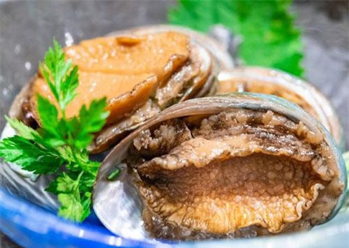 Vì sao món bào ngư chỉ dành cho nhà giàu?