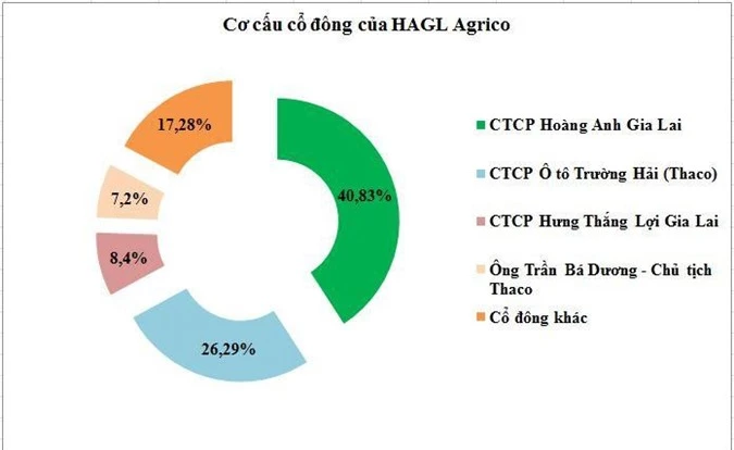 Cơ cấu cổ đông của HNG sau đợt chuyển đổi trái phiếu (Nguồn: HK tổng hợp)