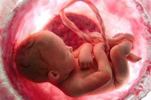 4 loại thực phẩm mẹ càng ăn con càng khoẻ