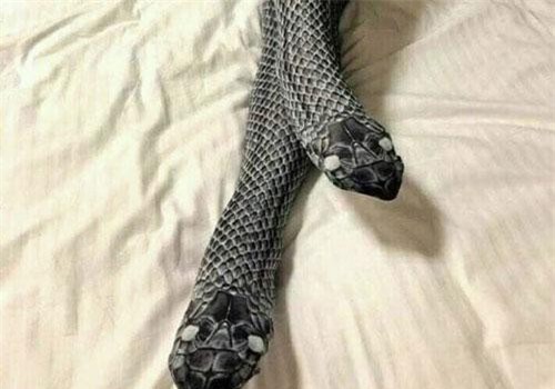 Những hình ảnh đánh lừa thị giác khiến bạn ngỡ ngàng