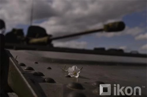Một bông hoa nằm trên mặt trước xe chiến đấu bộ binh BMP-2. Ảnh: Oikon