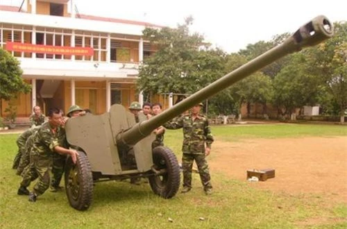 D-44 85mm có trọng lượng tổng thể 1,7 tấn, dài 8,34m, rộng 1,78m và cao 1,42m với kíp chiến đấu 8 người. Ảnh: QPVN