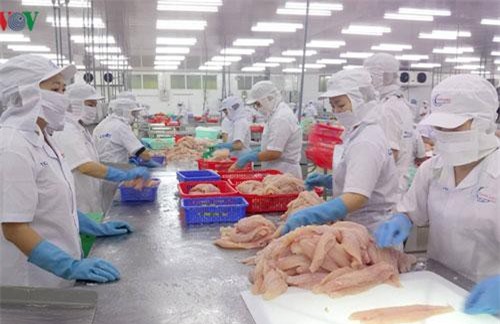 Doanh nghiệp vùng ĐBSCL cần nắm bắt cơ hội khi EVFTA thông qua