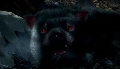 Thực hư chó quỷ xuất hiện khiến con người "sợ vãi linh hồn"